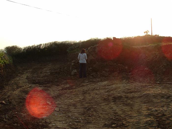 4 Digging Starts (30)